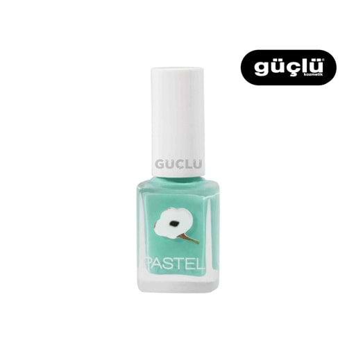 PASTEL OJE 419*6LI