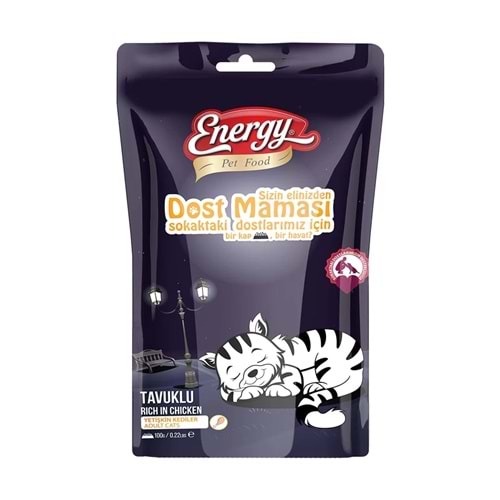 ENERGY PET F. DOST MAMASI - KEDİ 100 G*20Lİ